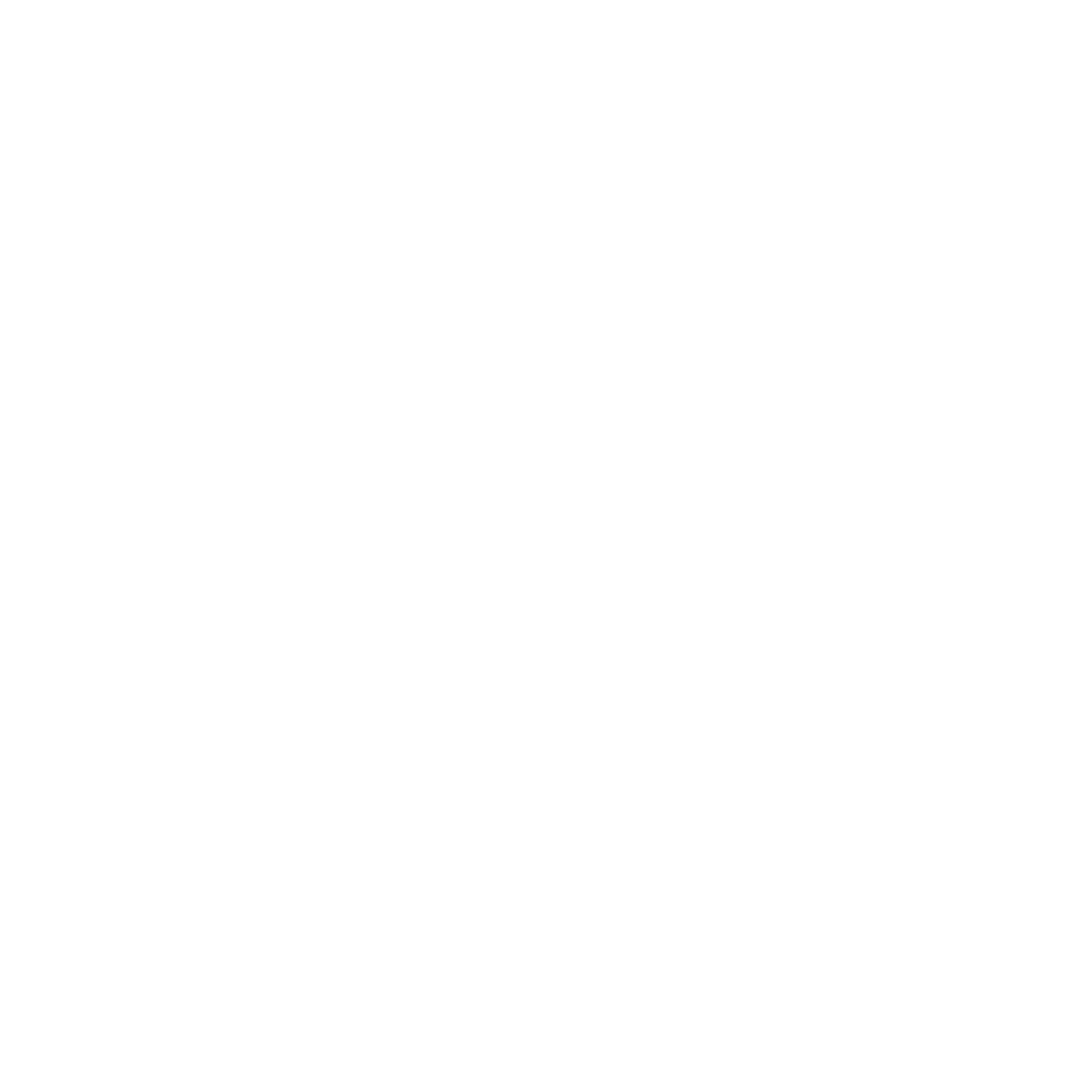 BELFORTNET Logo